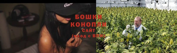 гидра Покачи