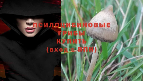 амфетамин Покров