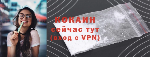 гидра Покачи