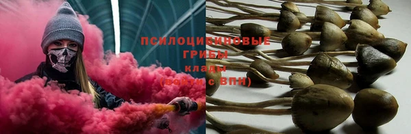 гидра Покачи