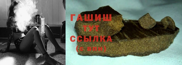 гидра Покачи