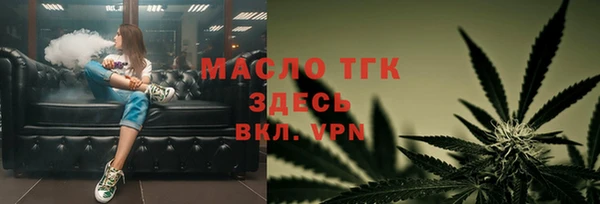 гидра Покачи