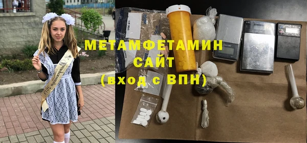 гидра Покачи