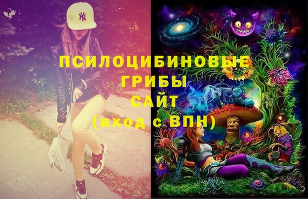 гидра Покачи